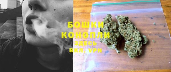 трава Балахна