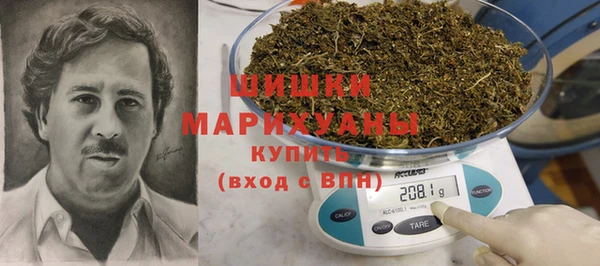 амф Арсеньев