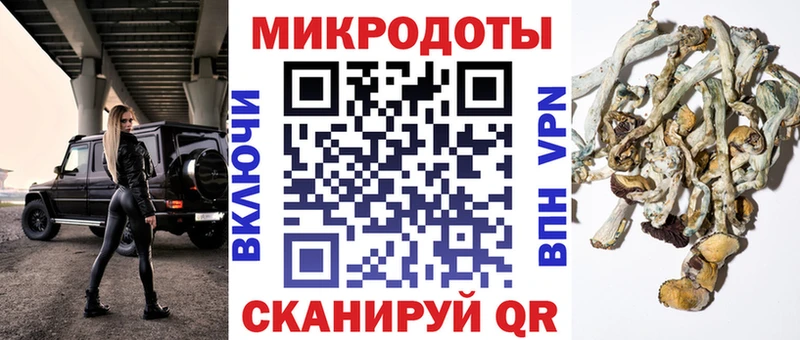 Псилоцибиновые грибы Psilocybine cubensis  Купить где  Дегтярск 